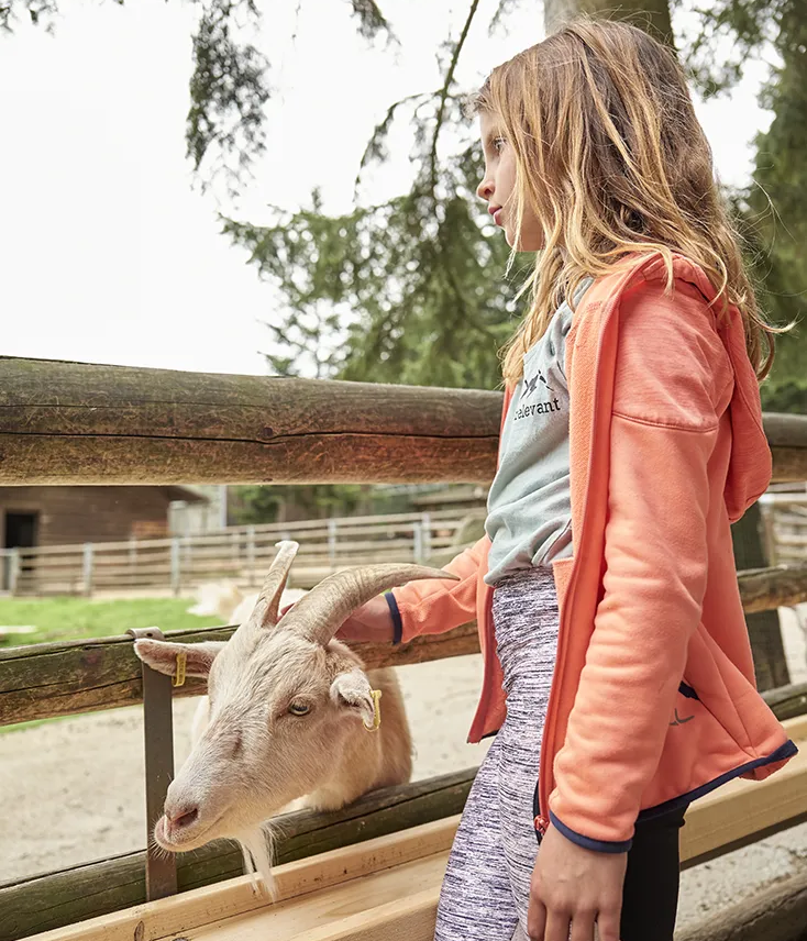 bayerwaldtierpark lohberg