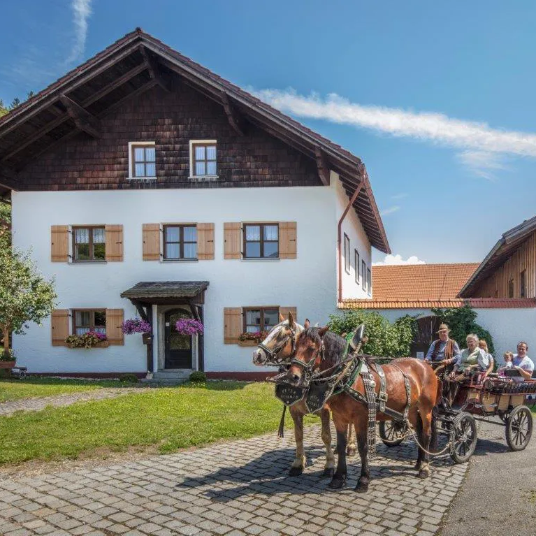Pferdekutschfahrt Familie Schmid Eppenschlag