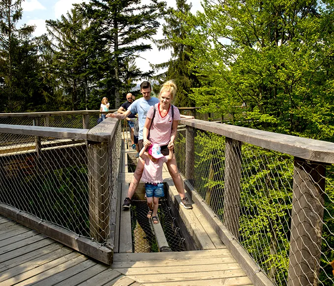 Eine Familie nutzt die Erlebnisstationen des Baumwipfelpfades
