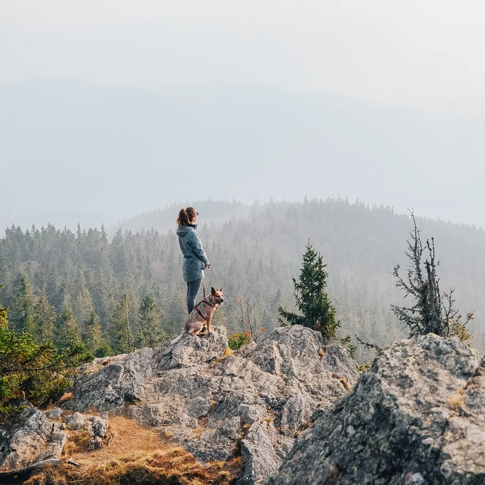 Ausblick vom Falkenstein mit Hund