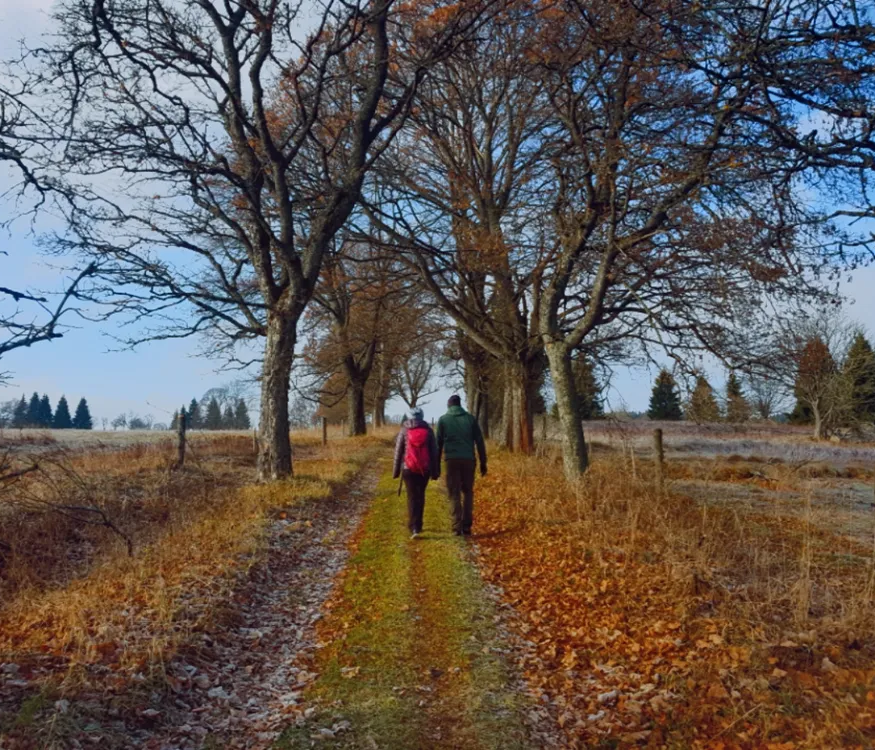 Zwei Wanderer auf Feldweg im Herbst