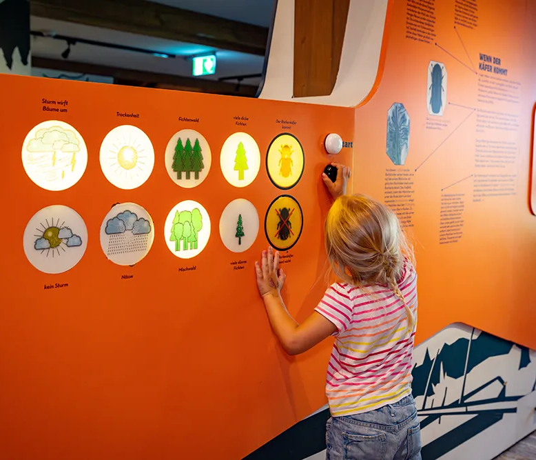 Ein kleines Mädchen mit blonden Haaren interagiert an einer bunten, lehrreichen Wand im Infozentrum Hans-Eisenmann.