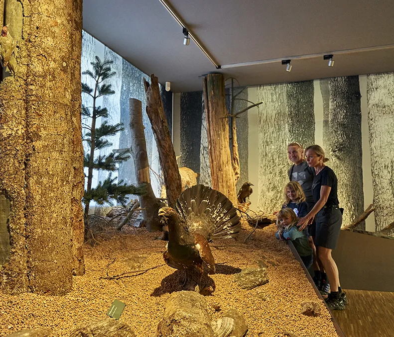 Eine Familie steht in einem Naturmuseum vor einer beeindruckenden Ausstellung mit einem riesigen Baumstamm und einem Auerhahn im Fokus.
