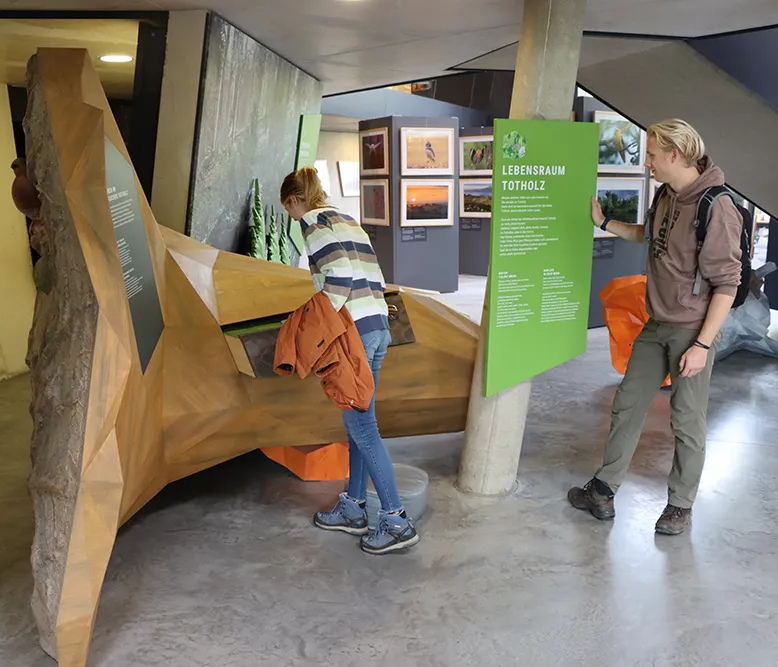 Exponate für Kinder im Museum 