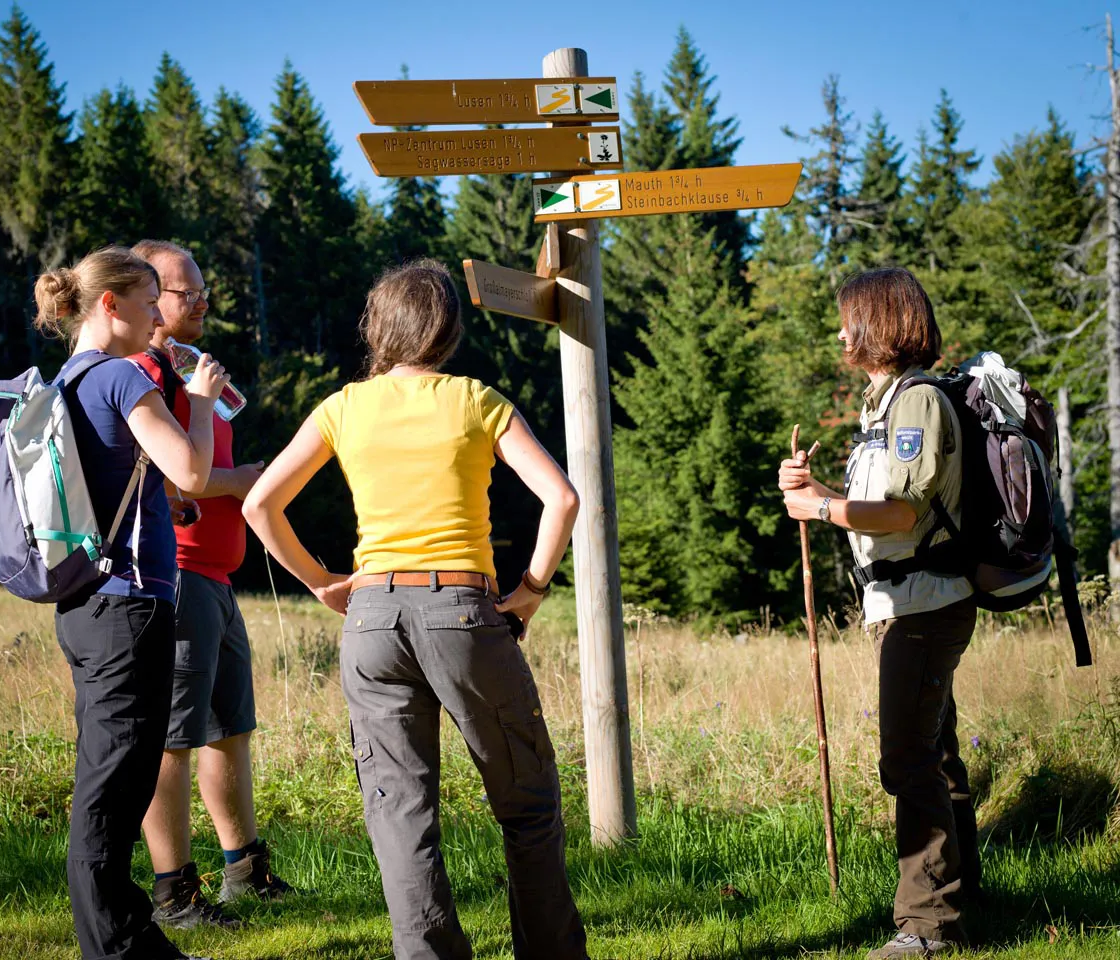 Vier Nationalparkmitarbeiter stehen an einem Wegweiser im Wald, während sie die nächsten Routen planen, um ihren Tag zu strukturieren.