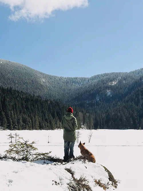 Person mit Hund am kleinen, schneebedecktem Arbersee mit Blick auf den Großen Arber