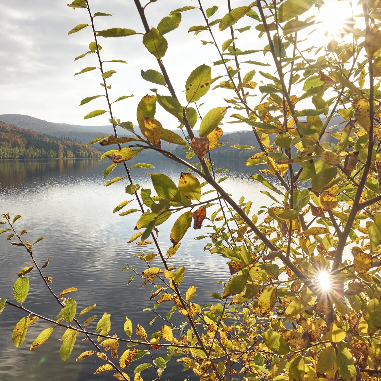 Trinkwassertalsperre Frauenau
