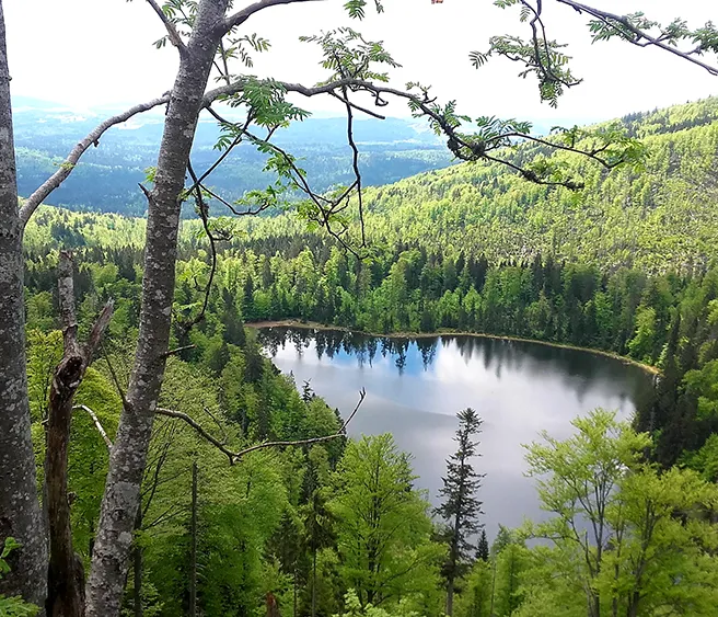 Blick auf den Rachelsee
