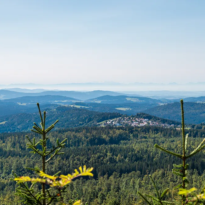 Fernblick auf Finsterau