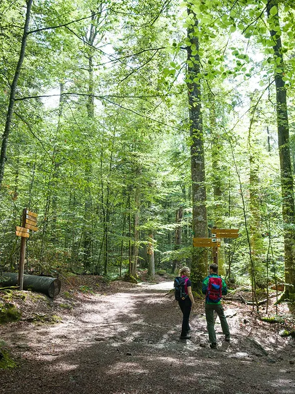 Junges Pärchen wandert
