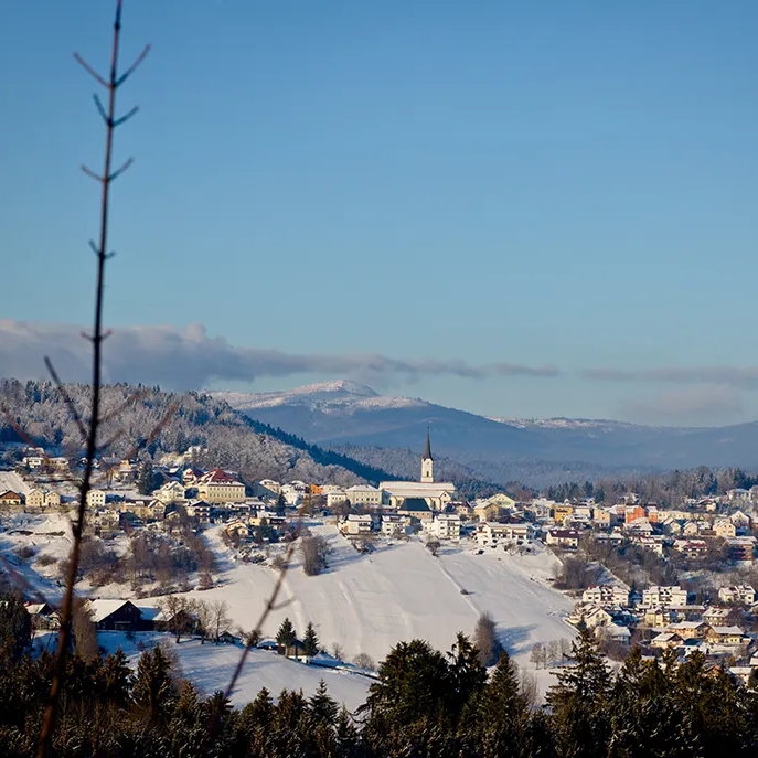 Winterliche Schönheit: Dorfansicht von Schönberg mit schneebedeckten Bergen Die Aussicht geht über die Baumspitzen im Vordergrund und kahle Äste hinweg, während im Hintergrund das malerische Schönberg in der Winterlandschaft liegt, dahinter der Rachel.