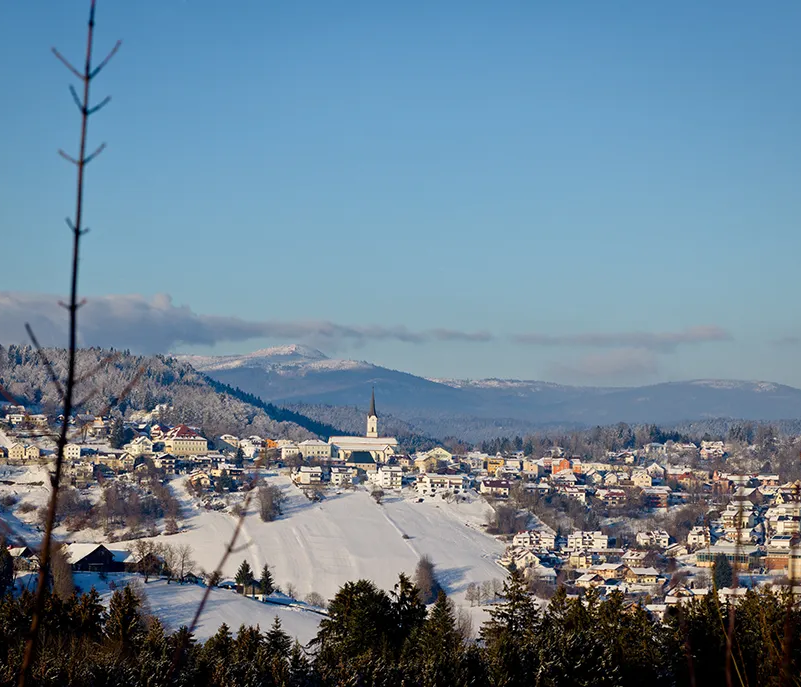 Die Aussicht geht über die Baumspitzen im Vordergrund und kahle Äste hinweg, während im Hintergrund das malerische Schönberg in der Winterlandschaft liegt, dahinter der Rachel.