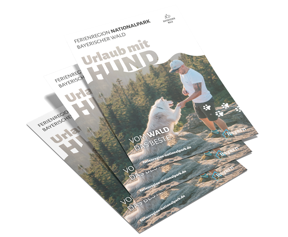 Unser Pocketguide "Urlaub mit Hund" zeigt auf dem Cover einen Mann, der ein weißes T-Shirt und eine Cap trägt, während sein Hund ihm die Pfote reicht.