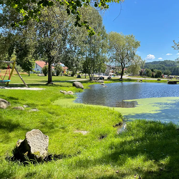 Am Rand sind vereinzelte große Steine und saftiges Gras zu sehen, während im Hintergrund ein kleiner Holzsteg ein Stück über den Teich führt.
