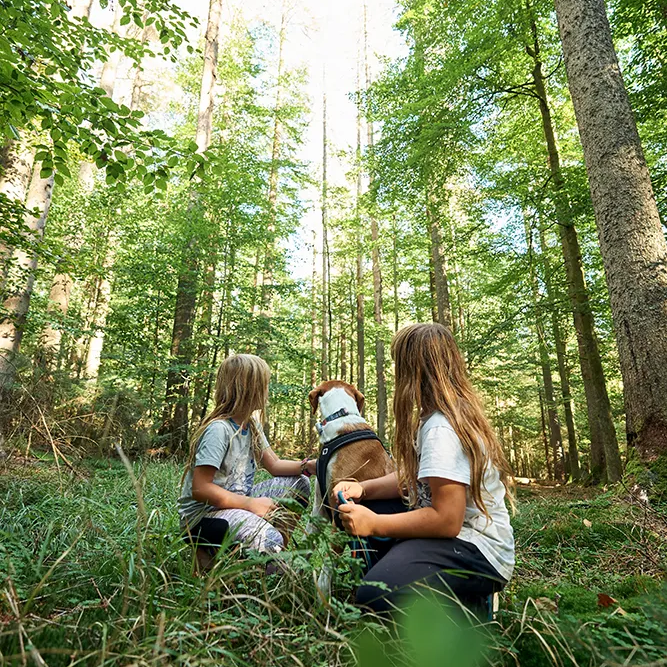 Kinder mit einem Hund
