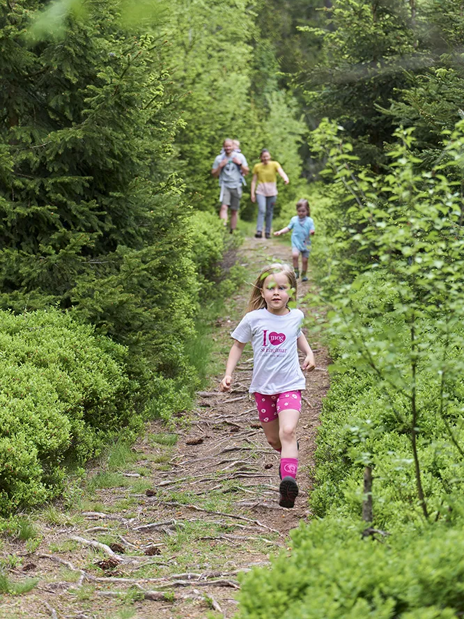 Familie beim Wandern 