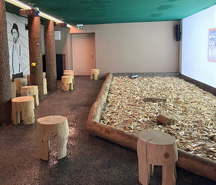 Waidlerkino im Rathaus der Gemeinde Neuschönau