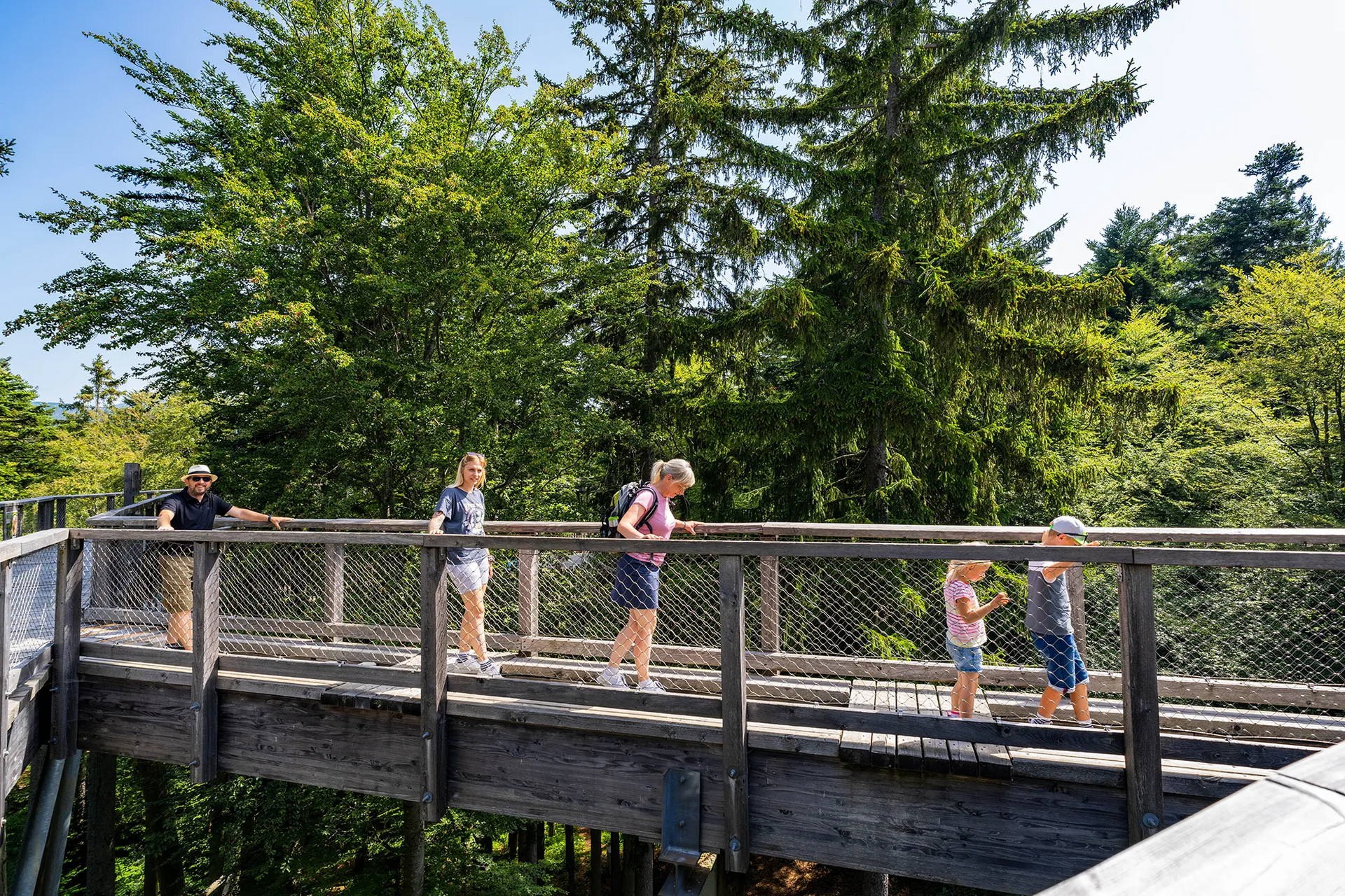 Familie auf Baumwipfelpfad