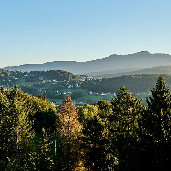 Ortsansicht von Spiegelau