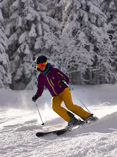 Elegante Skifahrerin am Großen Arber carved im frischen Schnee