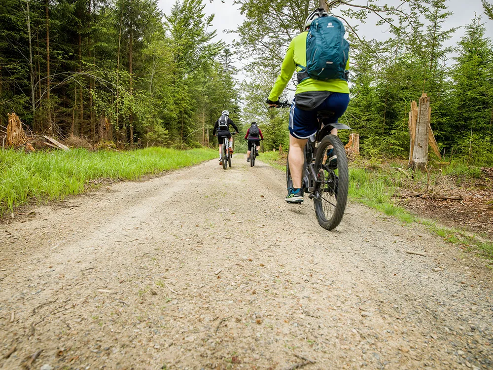 Drei Mountainbiker mit Rucksäcken und radeln auf einem ruhigen Waldweg.