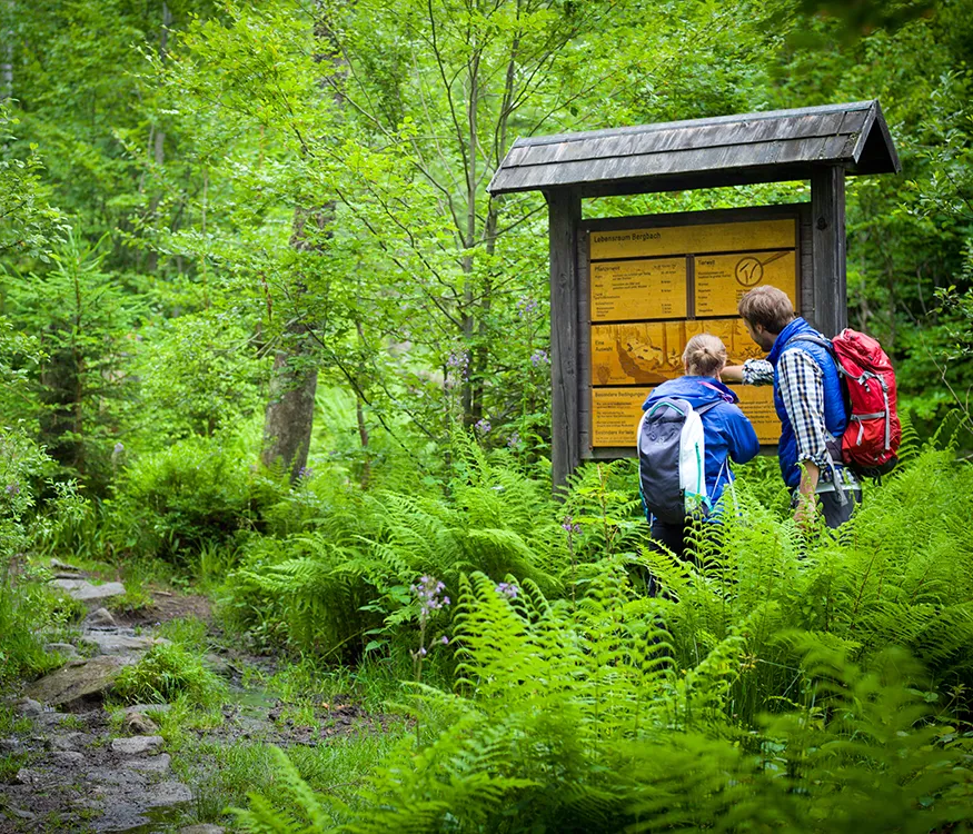 Wanderer im Nationalpark