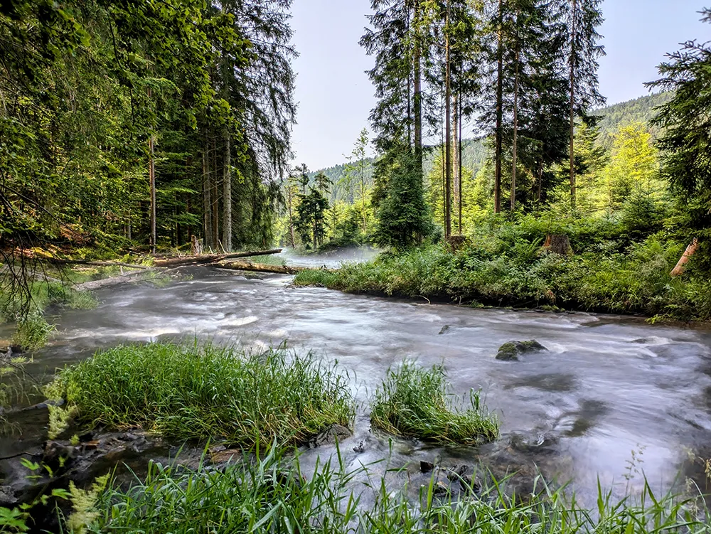 Teilstück des Flusswanderweges bei Seebachschleife