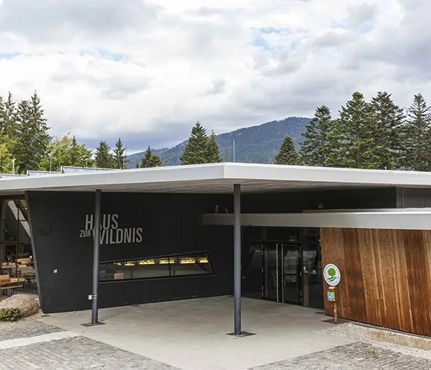 Die Architektur des Hauses zur Wildnis kombiniert Holz und Glas, harmonisch eingebettet in die natürliche Umgebung der Schutzgebietes.