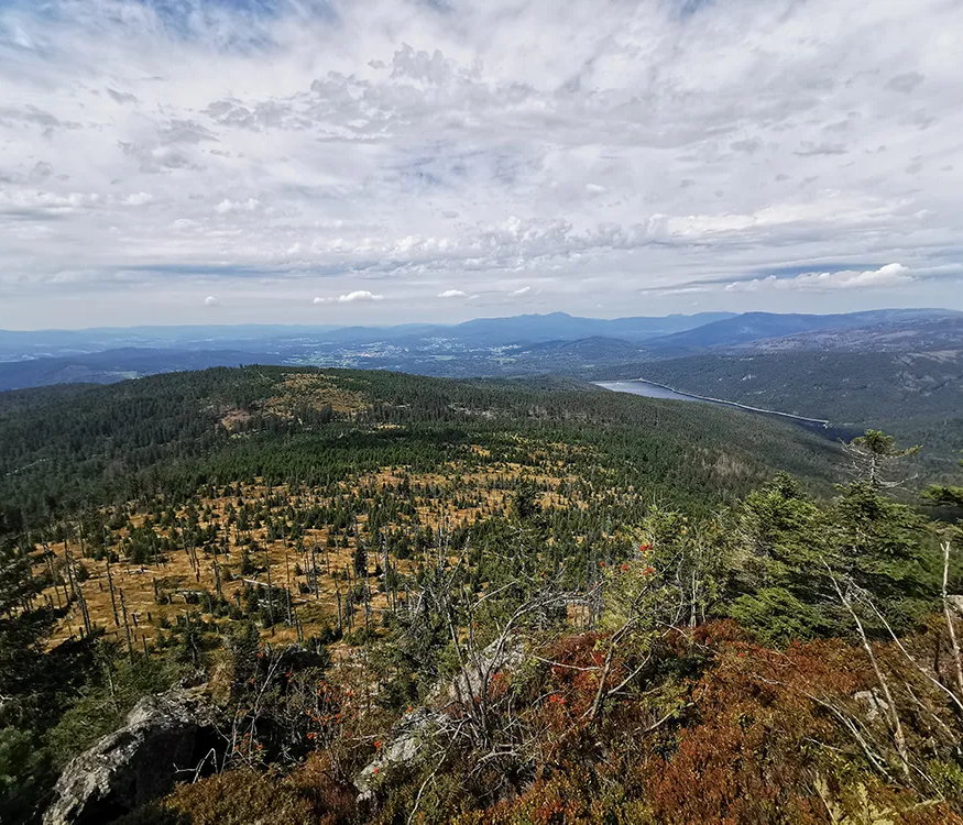 Ein weitläufiger Blick auf bewaldete Hügel und Täler, die Trinkwassertalsperre zu erahnen, unter einem bewölkten Himmel mit sanften Wolkenformationen.