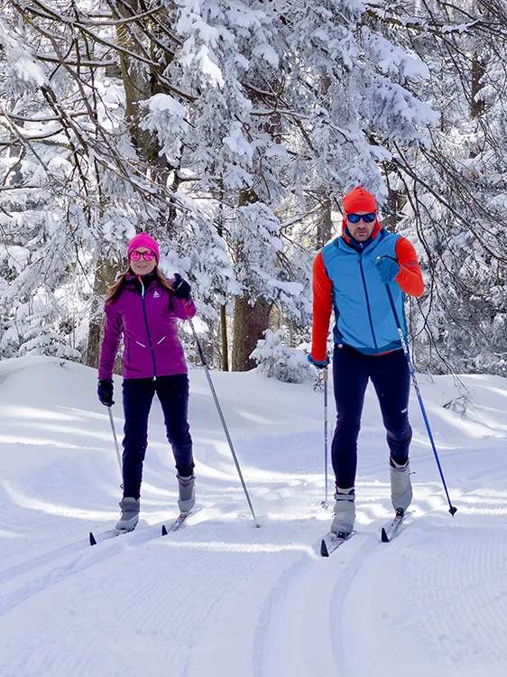 Langläufer im Bayerischen Wald