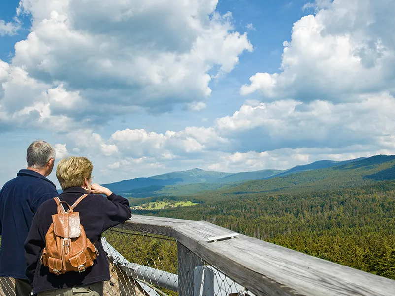 Ausblick vom Baumwipfelpfad Bayerischer Wald