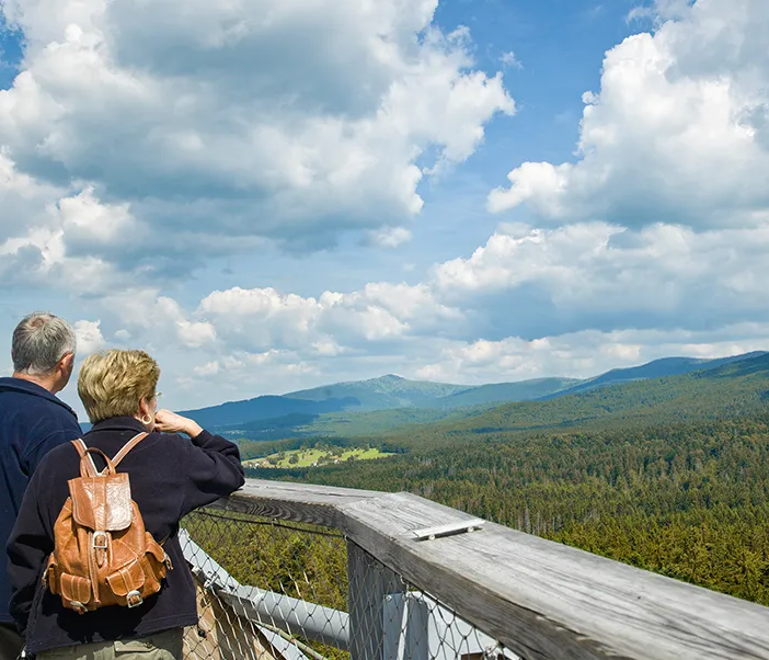 Besucher blicken ins Waldmeer vom Gipfelplateau des Baumwipfelpfades