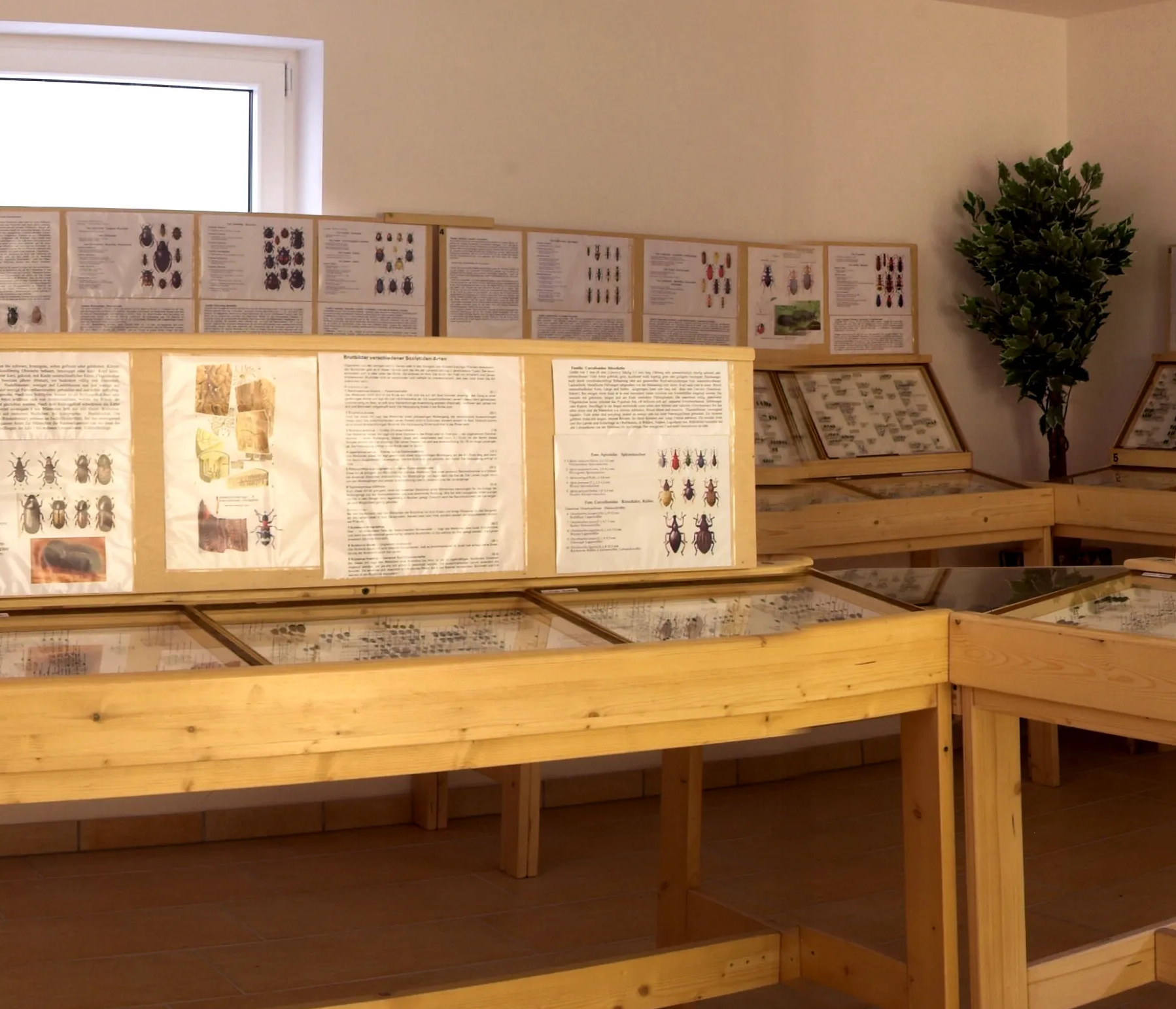 Käferausstellung in Spiegelau