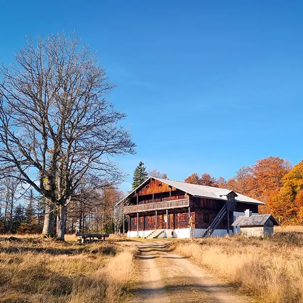 Hütte auf Lichtung