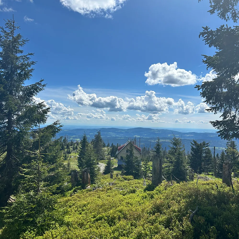 Waldschmidthaus am Rachel