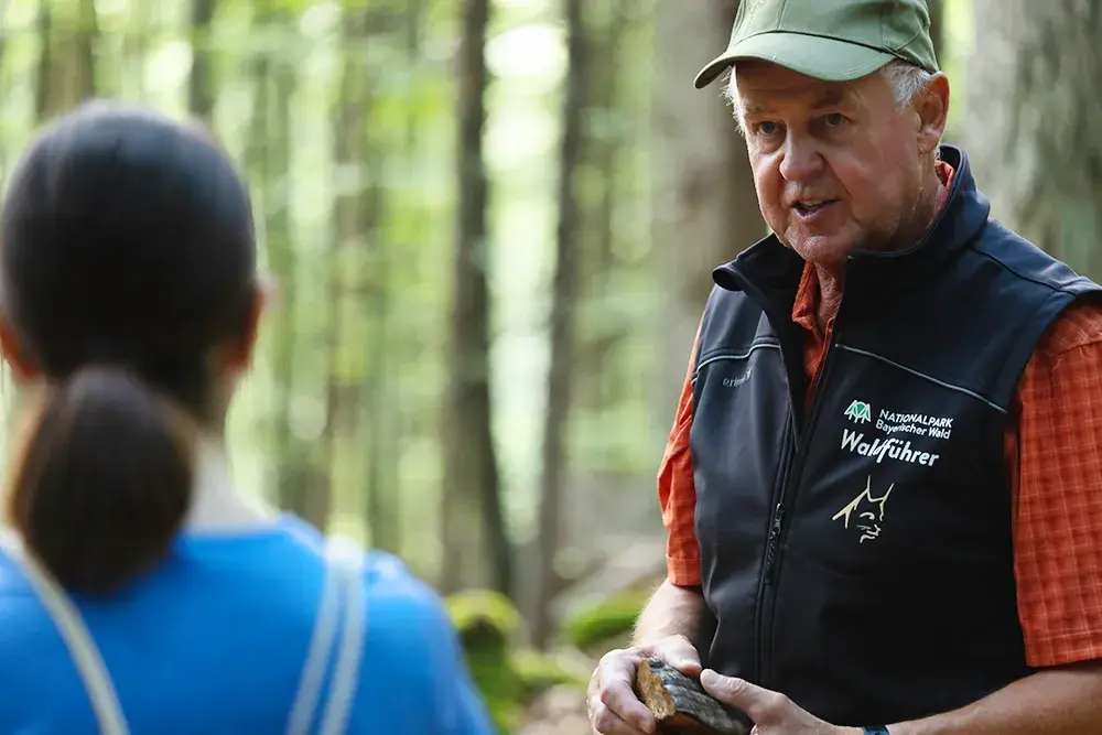 Der Waldführer erklärt die faszinierenden Phänome der Natur, während eine Teilnehmerin der Führung im interessiert zuhört.