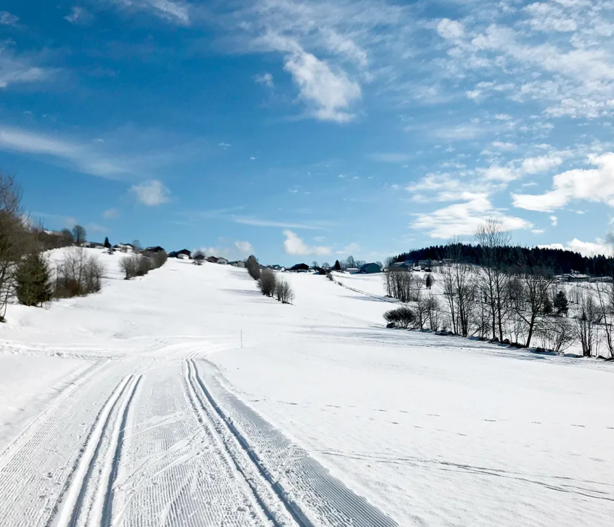 Die verschneite Landschaft mit den sanften Hügeln des Böhmerwaldes, blauem Himmel und vereinzelten Baumgruppierungen, strahlt unendliche Ruhe aus.