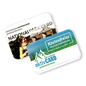 Die zwei Karten, die NationalparkCard und die aktivCARD für Freizeitangebote, symbolisieren die Erkundung des Bayerischen Waldes.