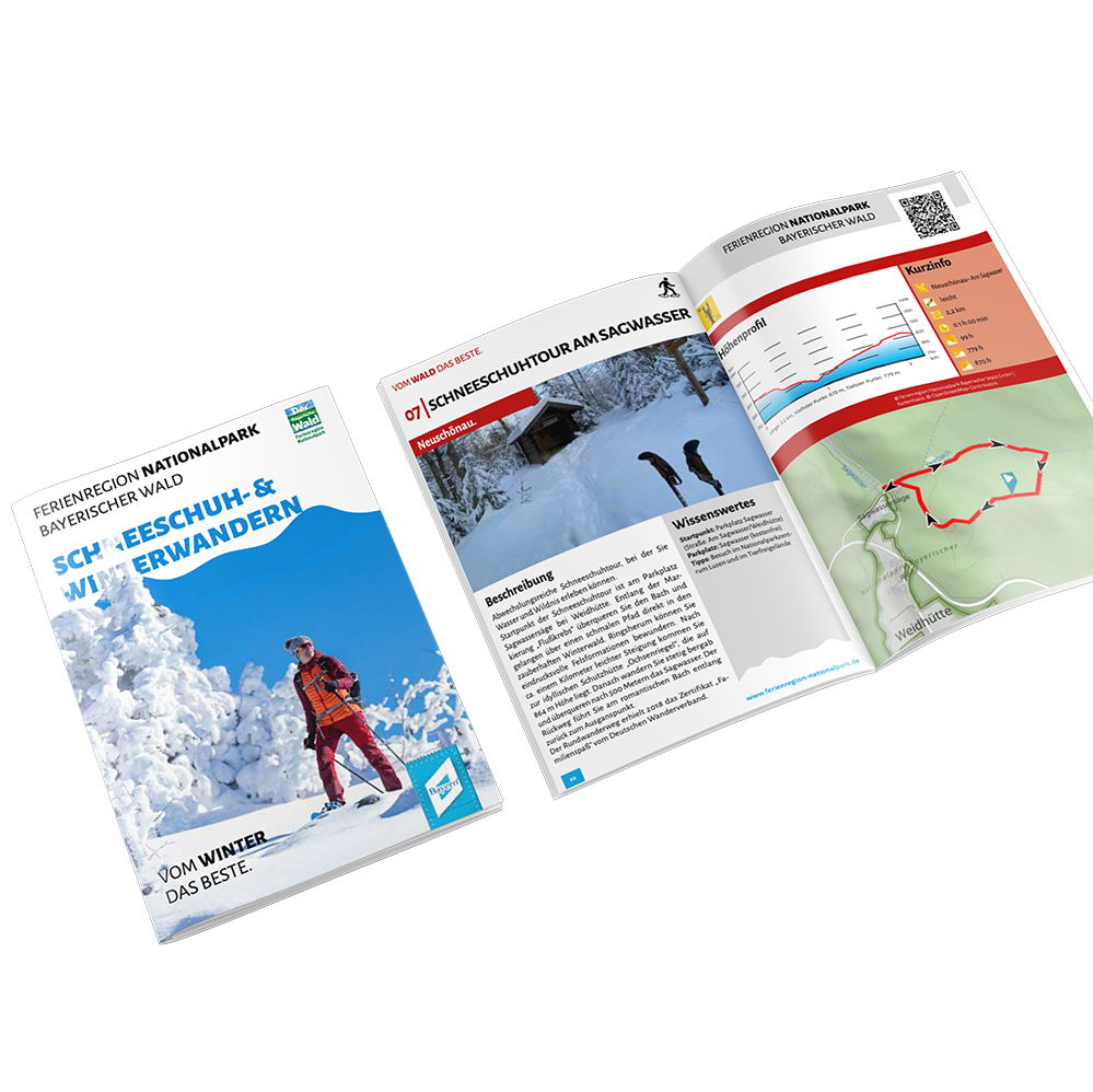 PG Schneeschuhwandern