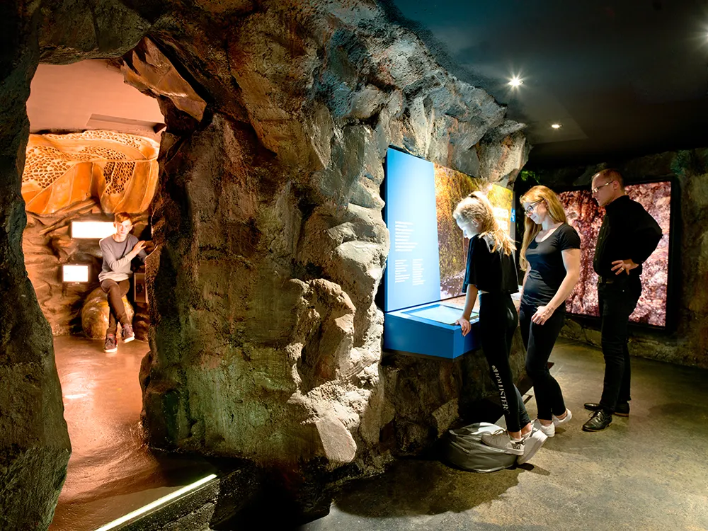 Nationalparkzentrum Falkenstein_Haus zur Wildnis