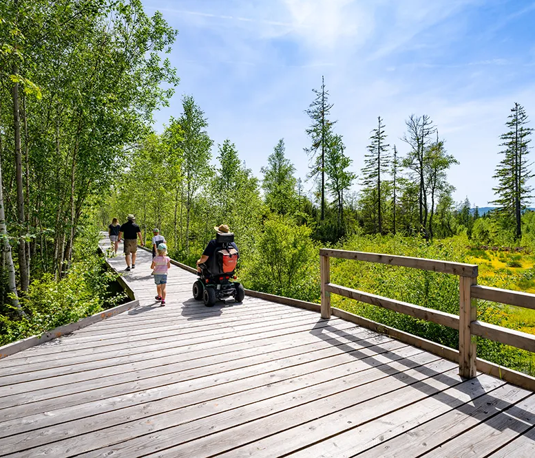 Rollstuhlfahrer im Finsterauer Filz