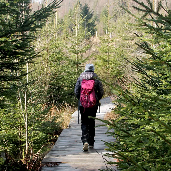 Frau mit Rucksack beim Wandern