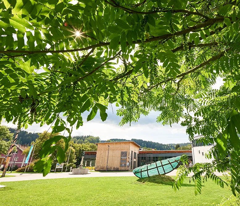 Ein sonniger Tag im Park des Glasmuseums, mit üppigem grünen Laub, im Blickfeld die geschwungene Skulptur der Glasarche und das Museumsgebäude.
