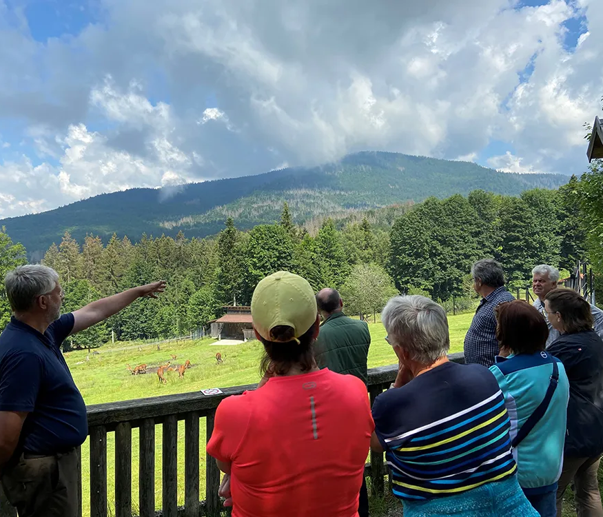 Besucherführung am Hirschgehege Scheuereck