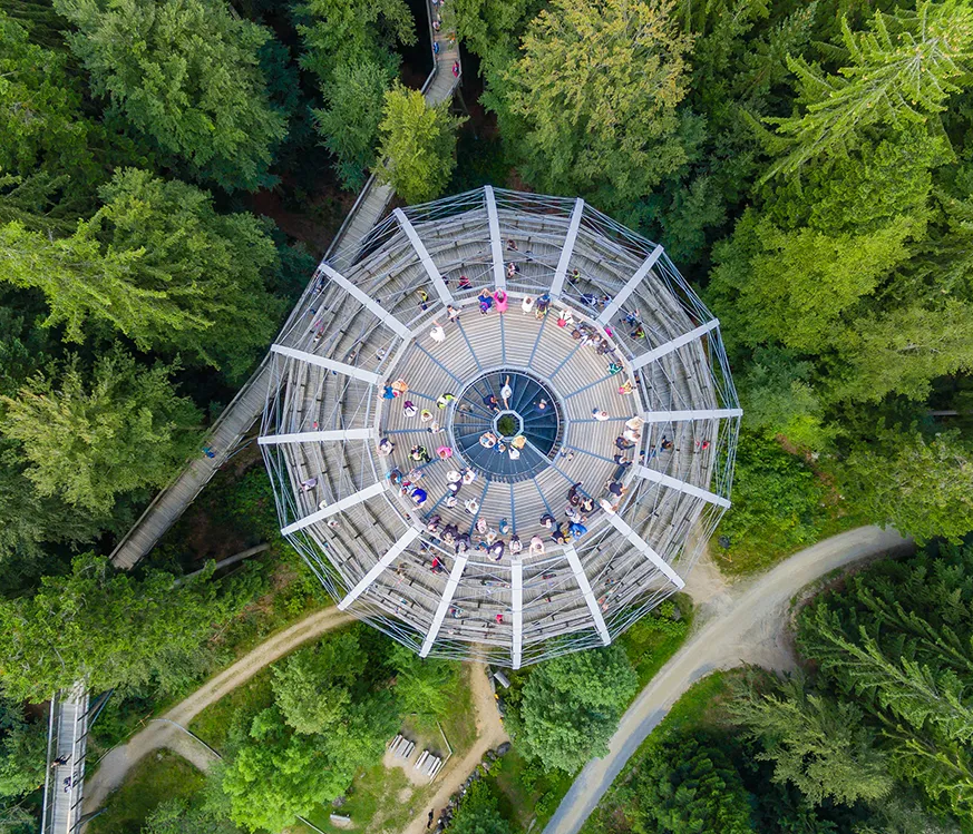 Baumwipfelpfad in Neuschönau