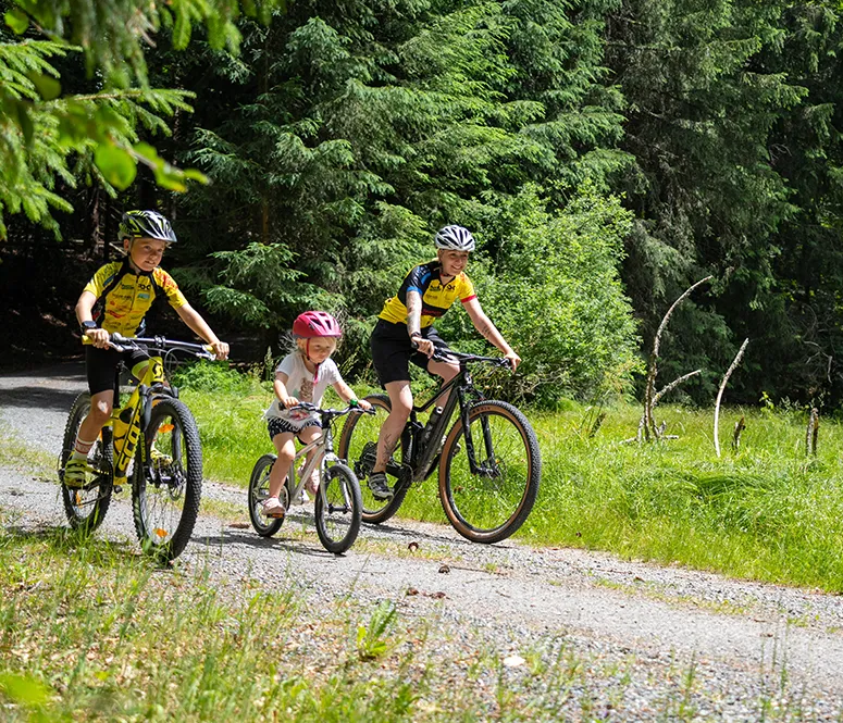 Zwei Personen in Sporttrikots und ein kleines Mädchen fahren fröhlich auf einem Waldweg mit ihren Fahrrädern, umgeben von grünen Bäumen und Wiese.