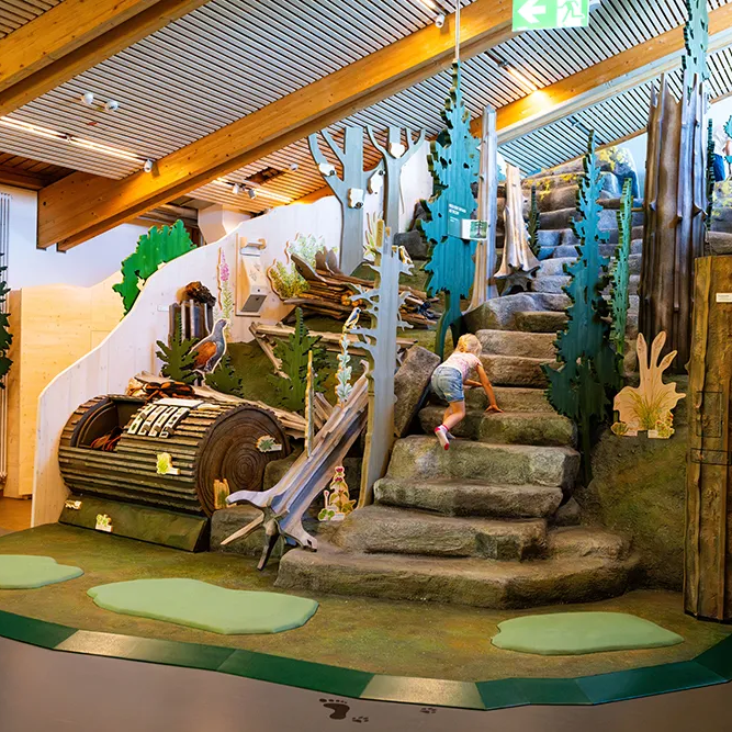 Spielgelände Kinder