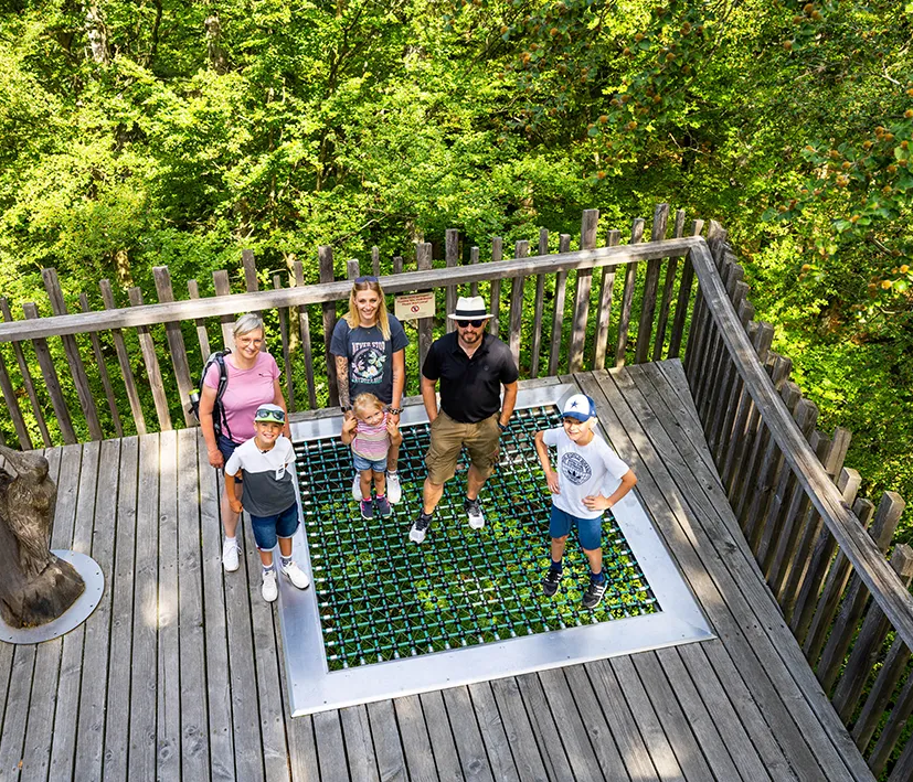 Familienausflug auf dem Baumwipfelpfad Eine Familie steht auf dem Netz der Waldinsel am Baumwipfelpfad, umgeben von üppig grünen Laubbäumen, unter sich der Boden in einer Tiefe von 20 Metern.