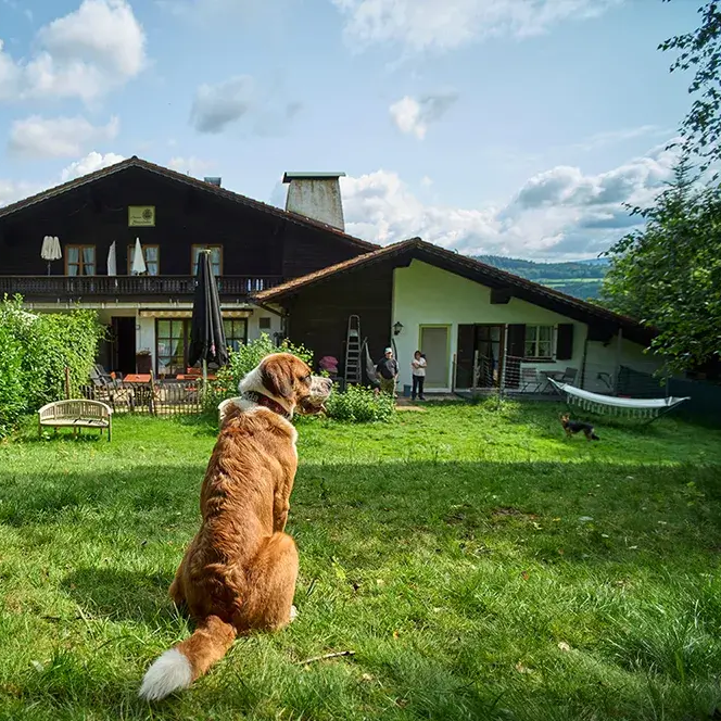 Ferienunterkunft mit Hund im Garten