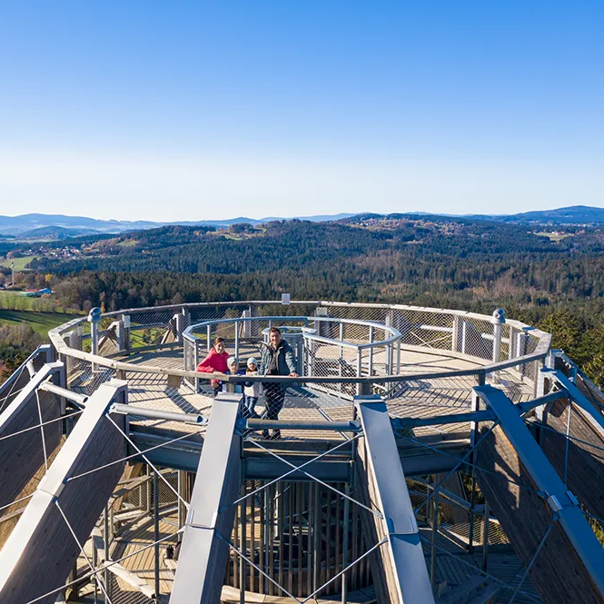 Zwei Personen stehen auf der obersten Plattform am Baumei des Baumwipfelpfades in Neuschönau und genießen die atemberaubende Aussicht auf die umliegende Landschaft.
